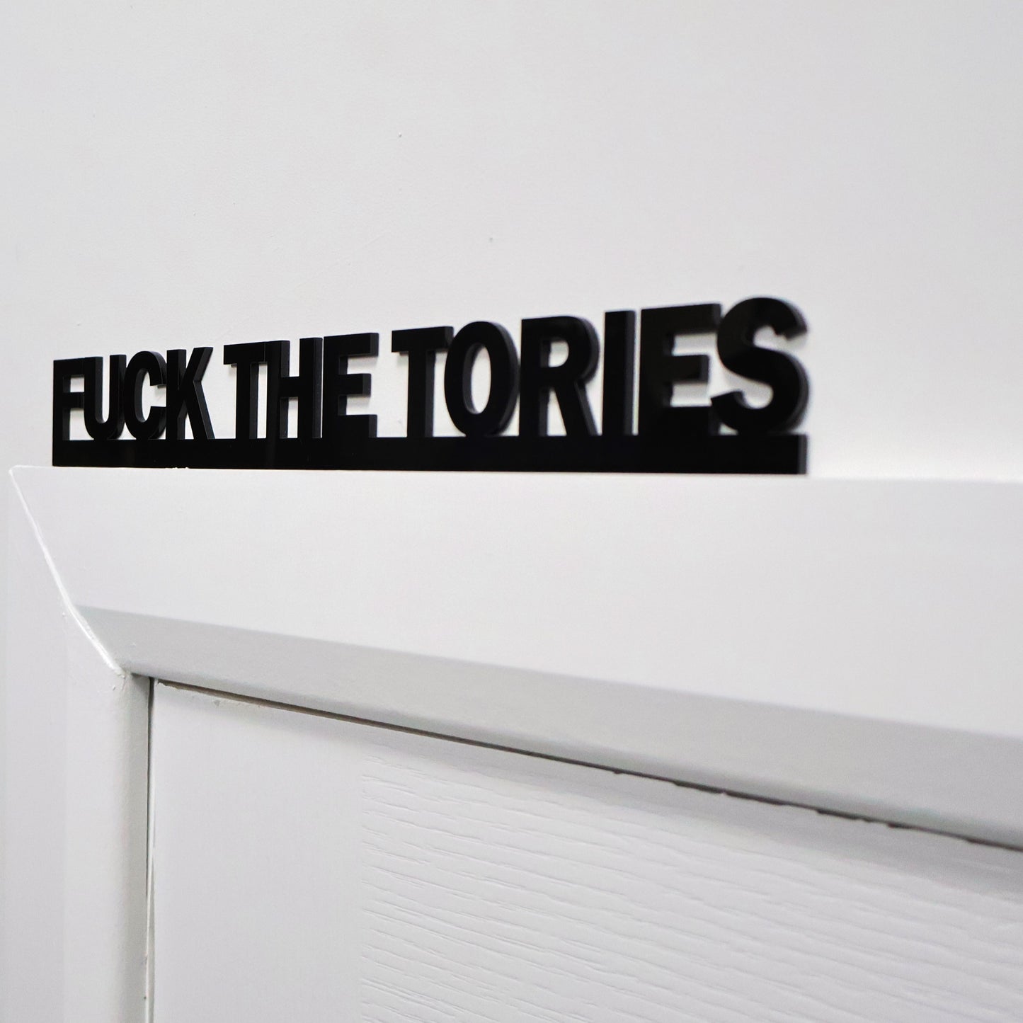 FUCK THE TORIES Door Topper