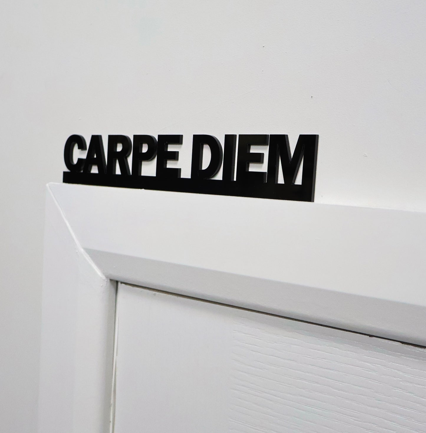 CARPE DIEM Door Topper