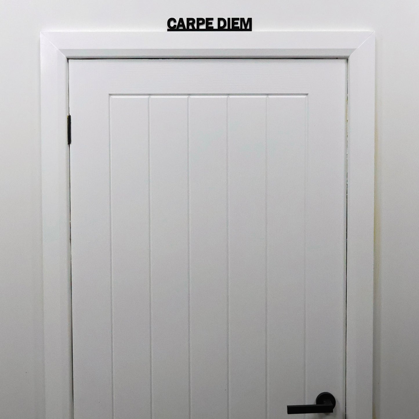 CARPE DIEM Door Topper