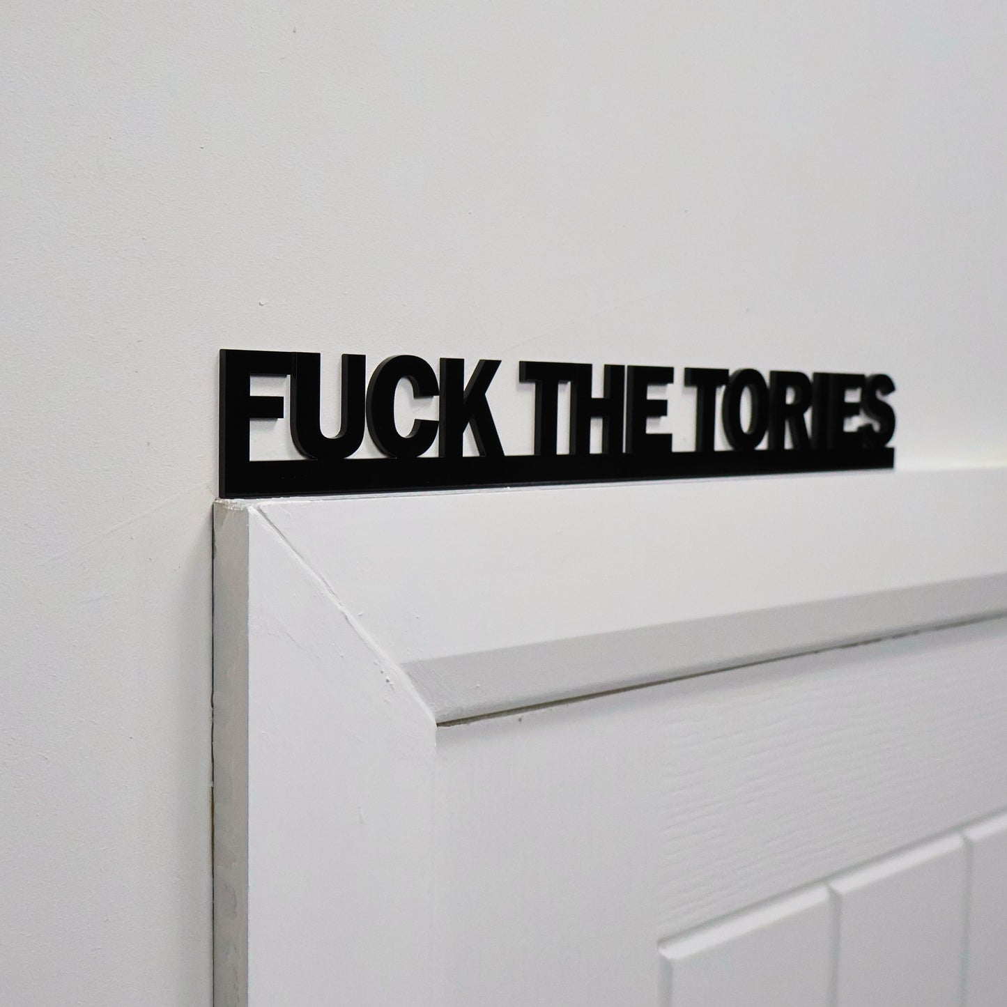 FUCK THE TORIES Door Topper