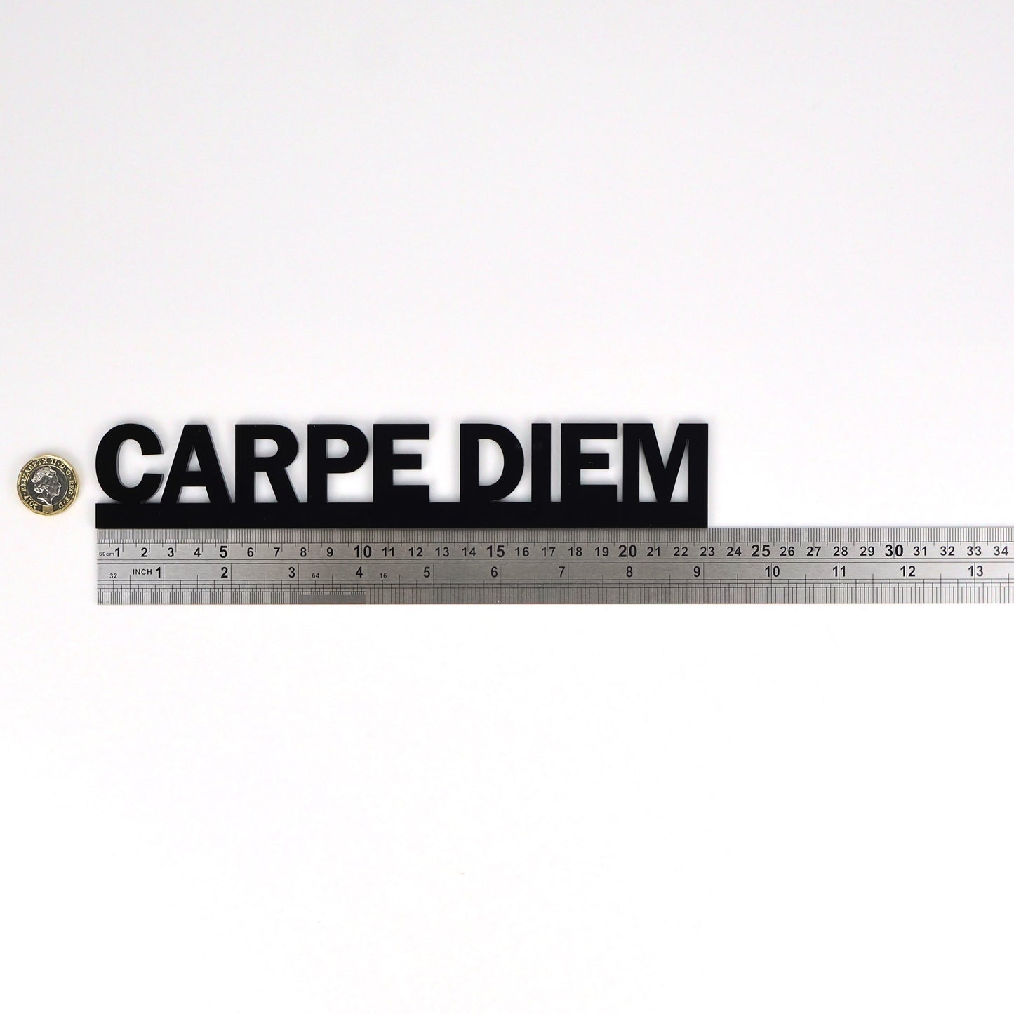 CARPE DIEM Door Topper