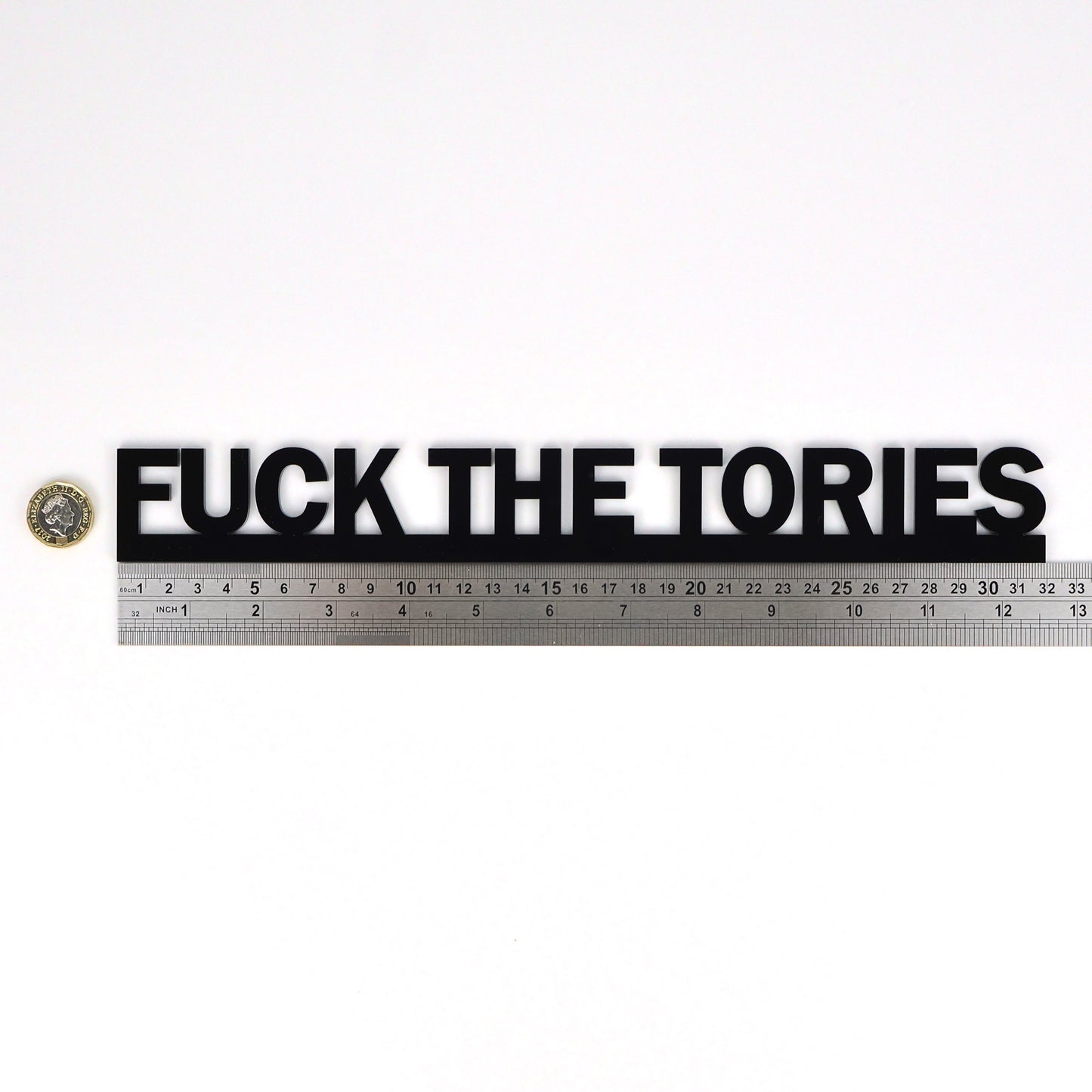 FUCK THE TORIES Door Topper