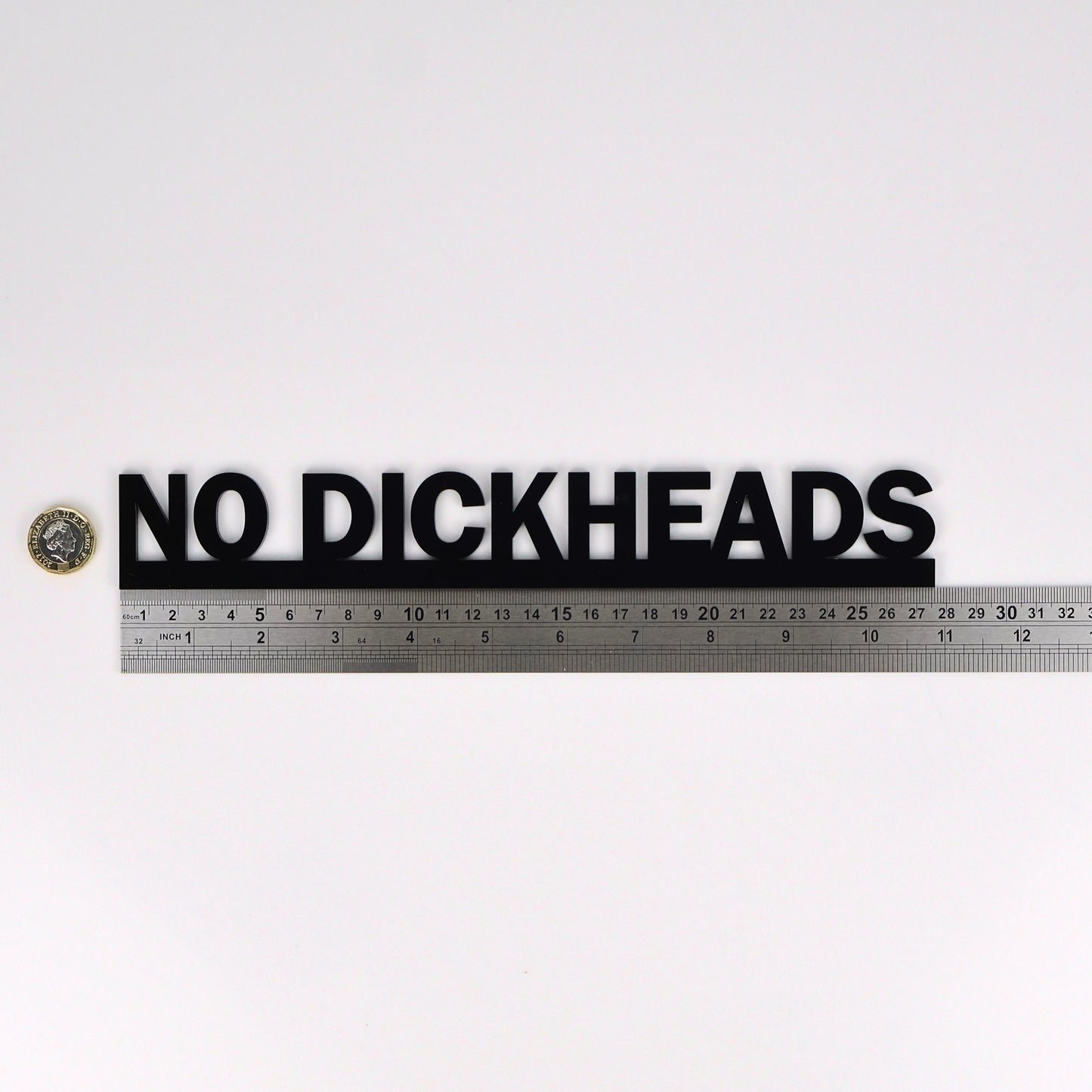 NO DICKHEADS Door Topper | Funny Entrance Door Sign